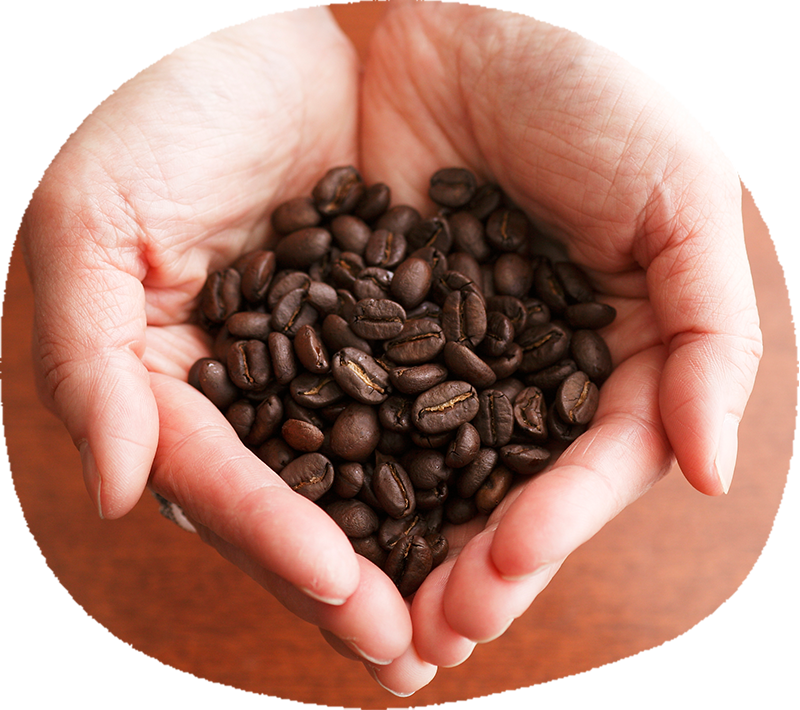 でんでん虫と言う名の珈琲 カラコール